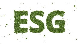 arra-group-wzmacnia-role-kobiet-w-strategii-esg
