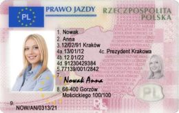 tlp:-apel-o-zmiany-w-funkcjonowaniu-centralnej-ewidencji-kierowcow