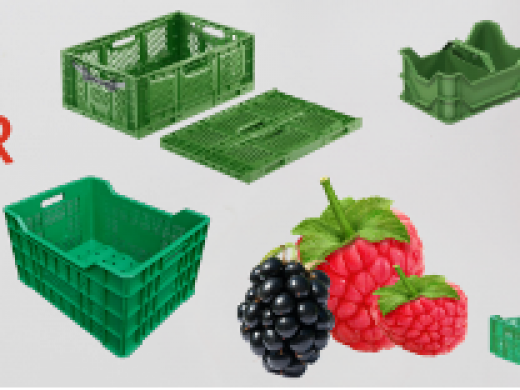 Skrzynki na produkty rolnicze
